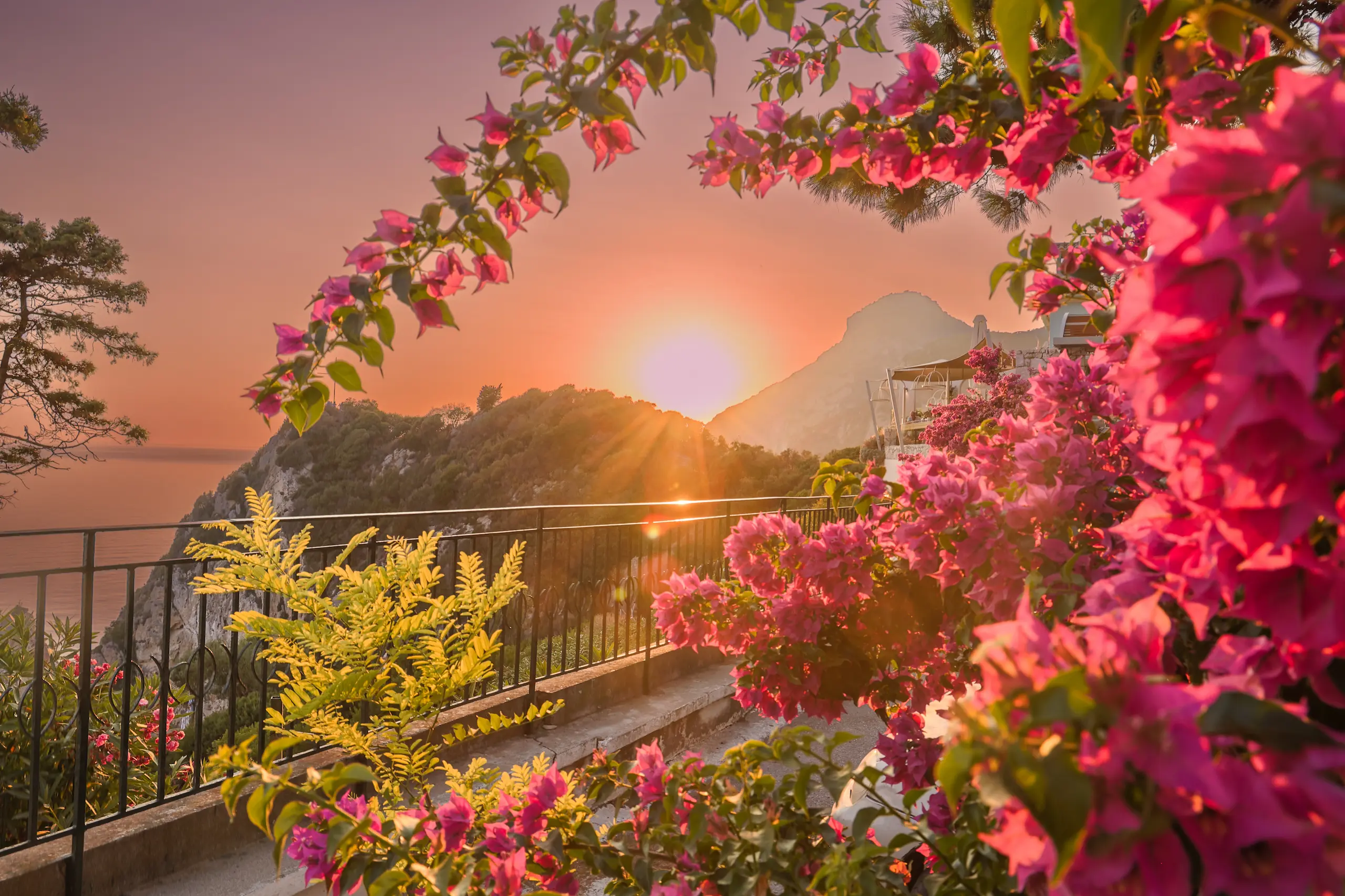 How to Shoot Golden Hour: A Photographer’s Complete Guide