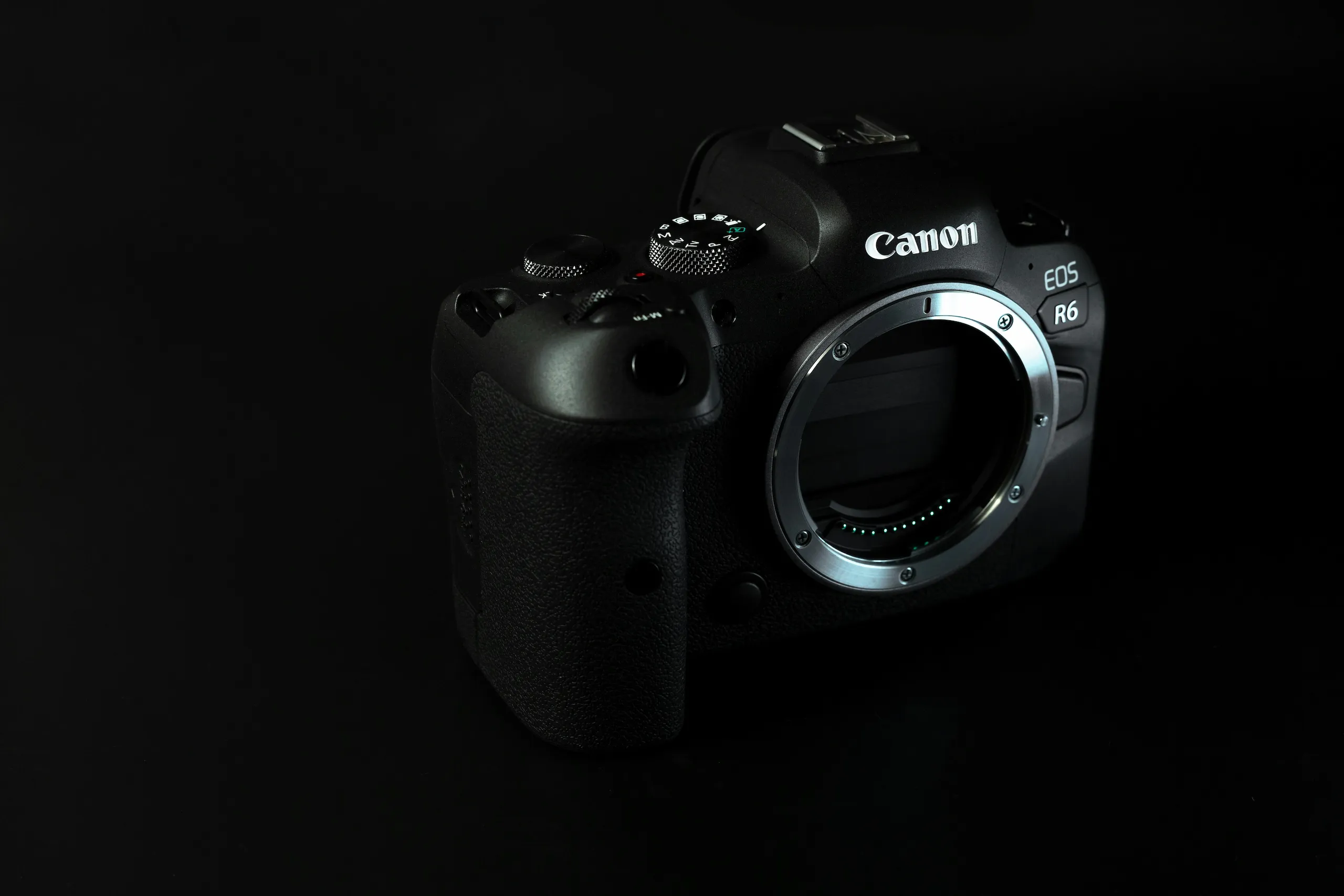 Sony vs. Canon for Travel Photography: Which System Should You Buy Into?