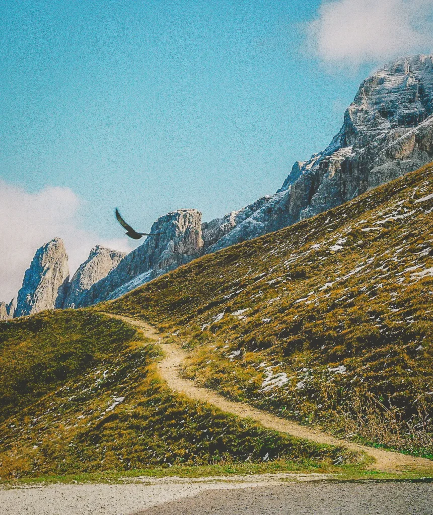 Dolomites Bird trail